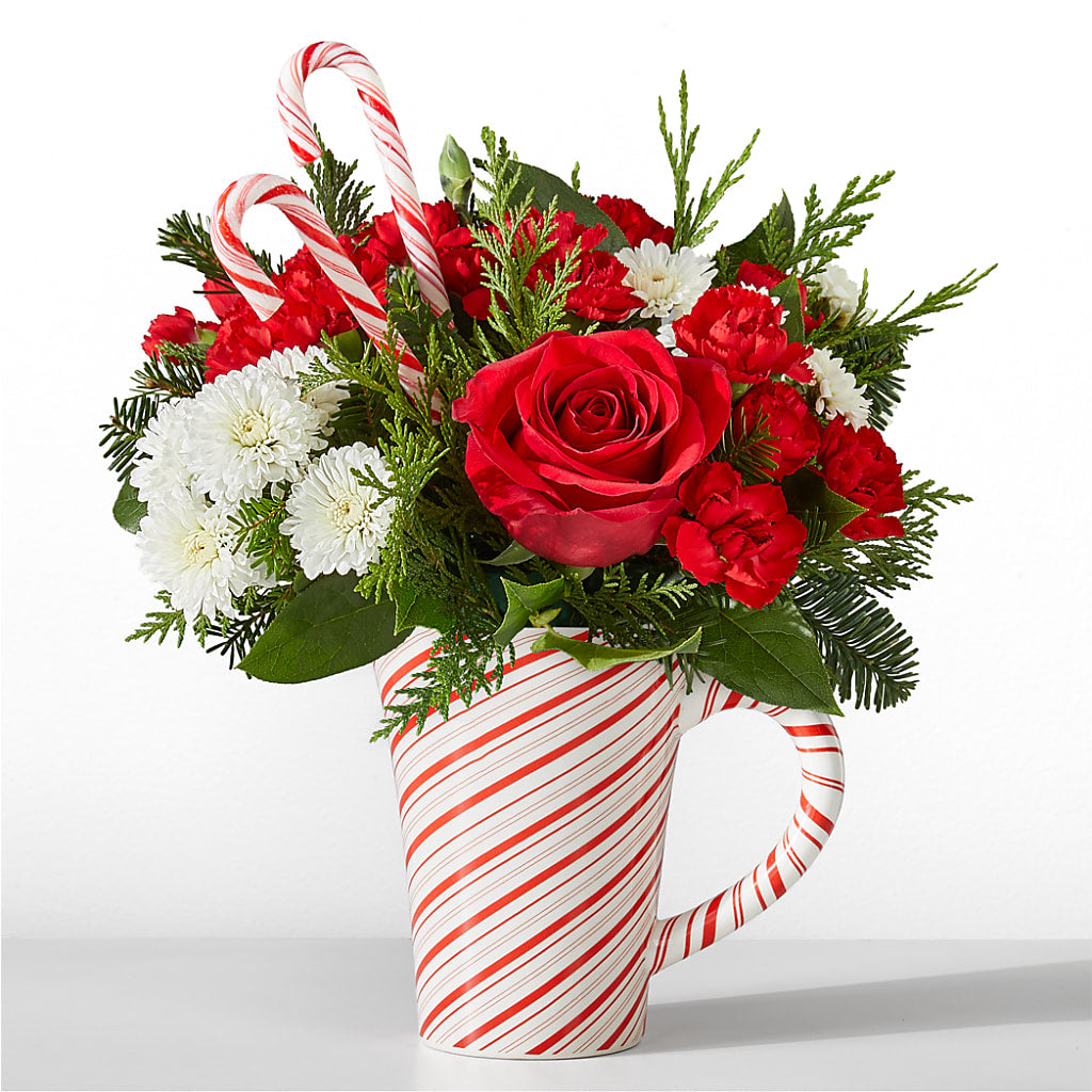 Peppermint Swirl Mug – David Flowers Gifts And Interiors, Oklahoma City OK
