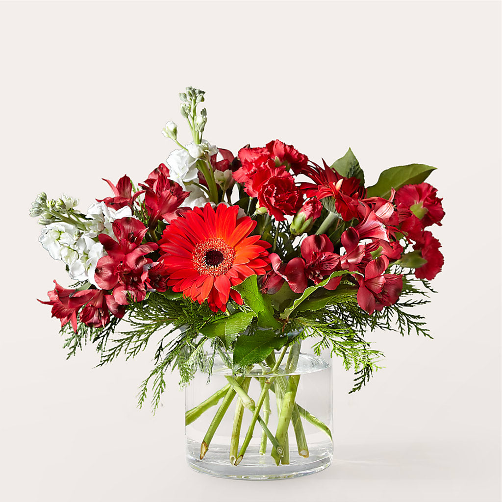 Holidaisy Bouquet – David Flowers Gifts And Interiors, Oklahoma City OK