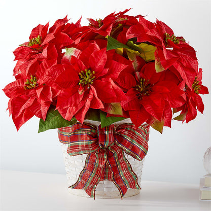 Joyeuses Fêtes Poinsettia