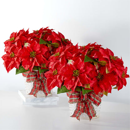 Happiest Holidays Poinsettia Bundle –  David Flowers Gifts And Interiors, Oklahoma City OK