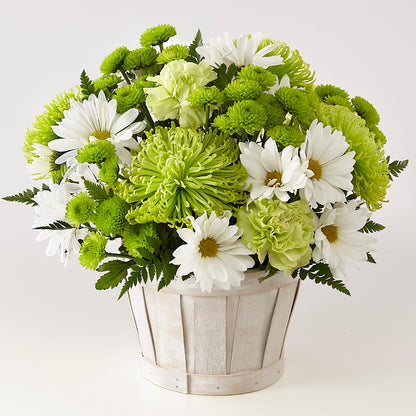 Lucky Charm Basket (Standard) –  David Flowers Gifts And Interiors, Oklahoma City OK