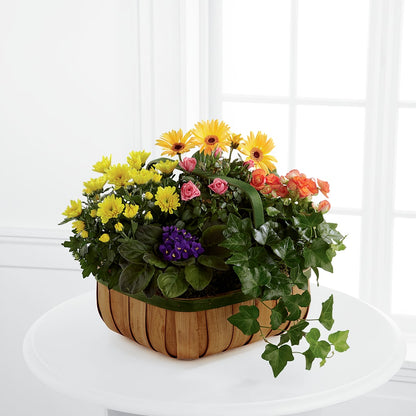 Gentle Blossoms Basket –  David Flowers Gifts And Interiors, Oklahoma City OK
