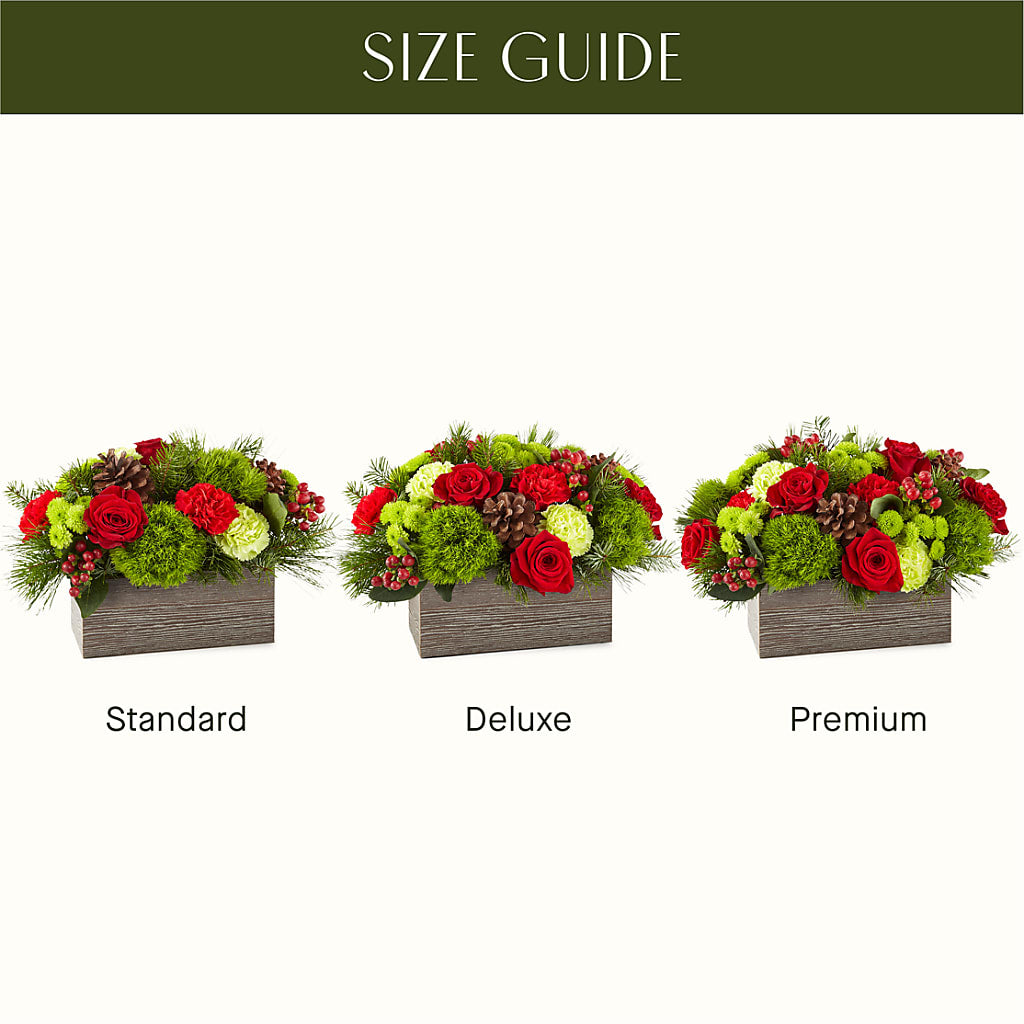 Bundled Up Bouquet –  David Flowers Gifts And Interiors, Oklahoma City OK