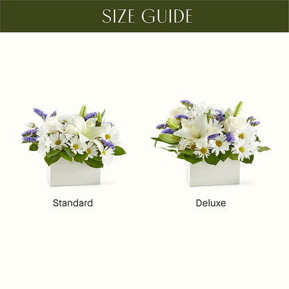 Beyond Blue Box Bouquet –  David Flowers Gifts And Interiors, Oklahoma City OK