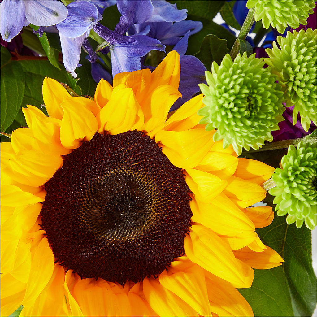 Catching Rays Bouquet –  David Flowers Gifts And Interiors, Oklahoma City OK