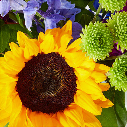 Catching Rays Bouquet –  David Flowers Gifts And Interiors, Oklahoma City OK