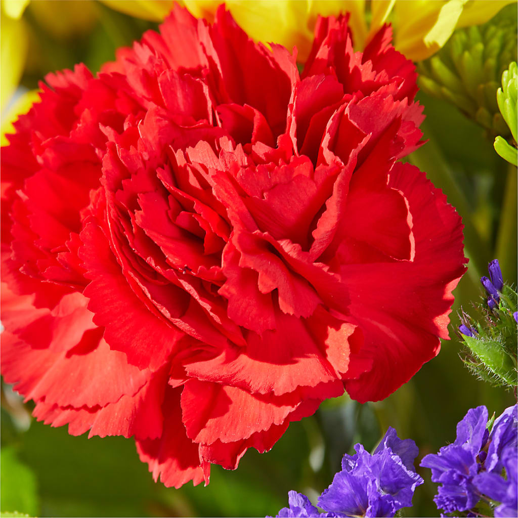 Brighter Days Bouquet –  David Flowers Gifts And Interiors, Oklahoma City OK