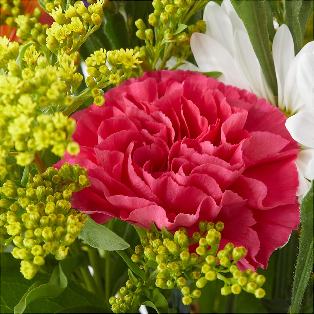 Oopsie Daisy Bouquet –  David Flowers Gifts And Interiors, Oklahoma City OK