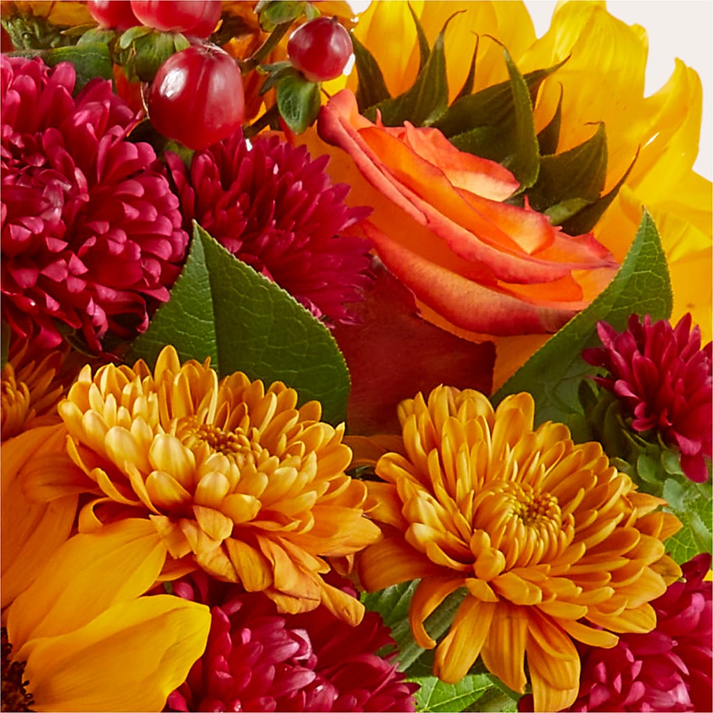 Sweater Season - A Florist Original –  David Flowers Gifts And Interiors, Oklahoma City OK