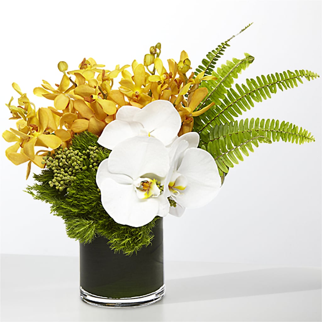 The Tropics –  David Flowers Gifts And Interiors, Oklahoma City OK