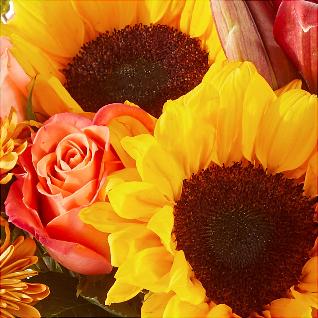 Acorn Lane Bouquet –  David Flowers Gifts And Interiors, Oklahoma City OK