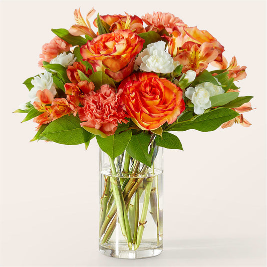 Bouquet Abricot Lumineux