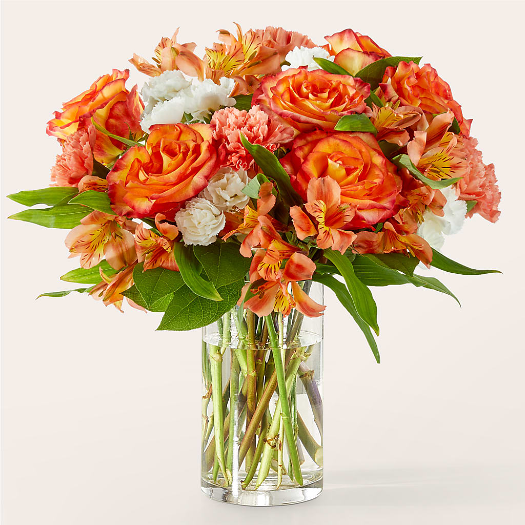 Bouquet Abricot Lumineux