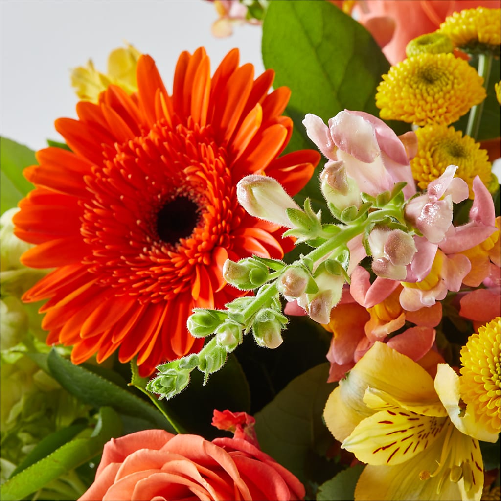 Autumn Sunshine Bouquet –  David Flowers Gifts And Interiors, Oklahoma City OK