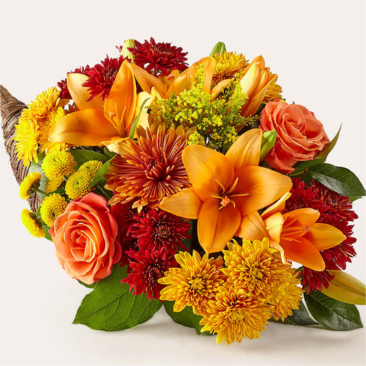 Festin de Couleurs Cornucopia