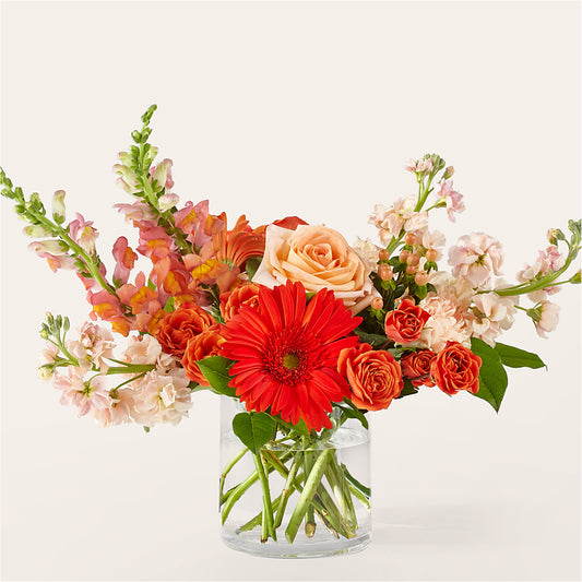 Paloma S'il vous plaît Bouquet