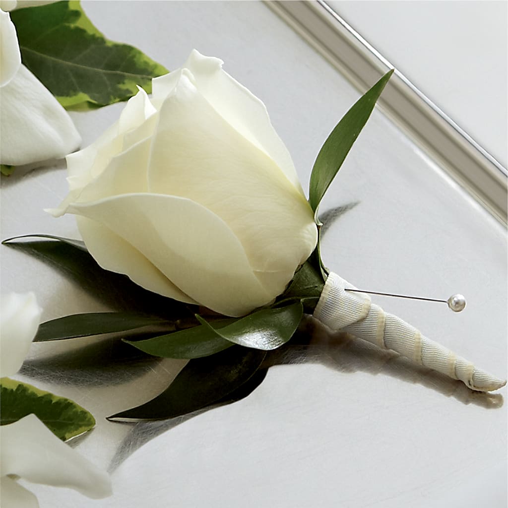 Boutonnière de rosa blanca