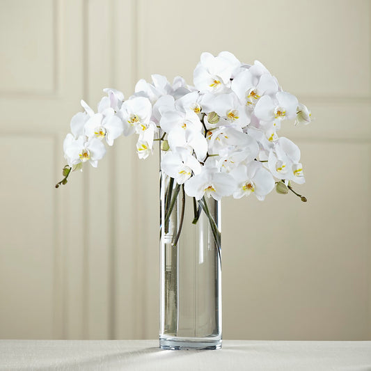 Bouquet de Phalaenopsis Blancs